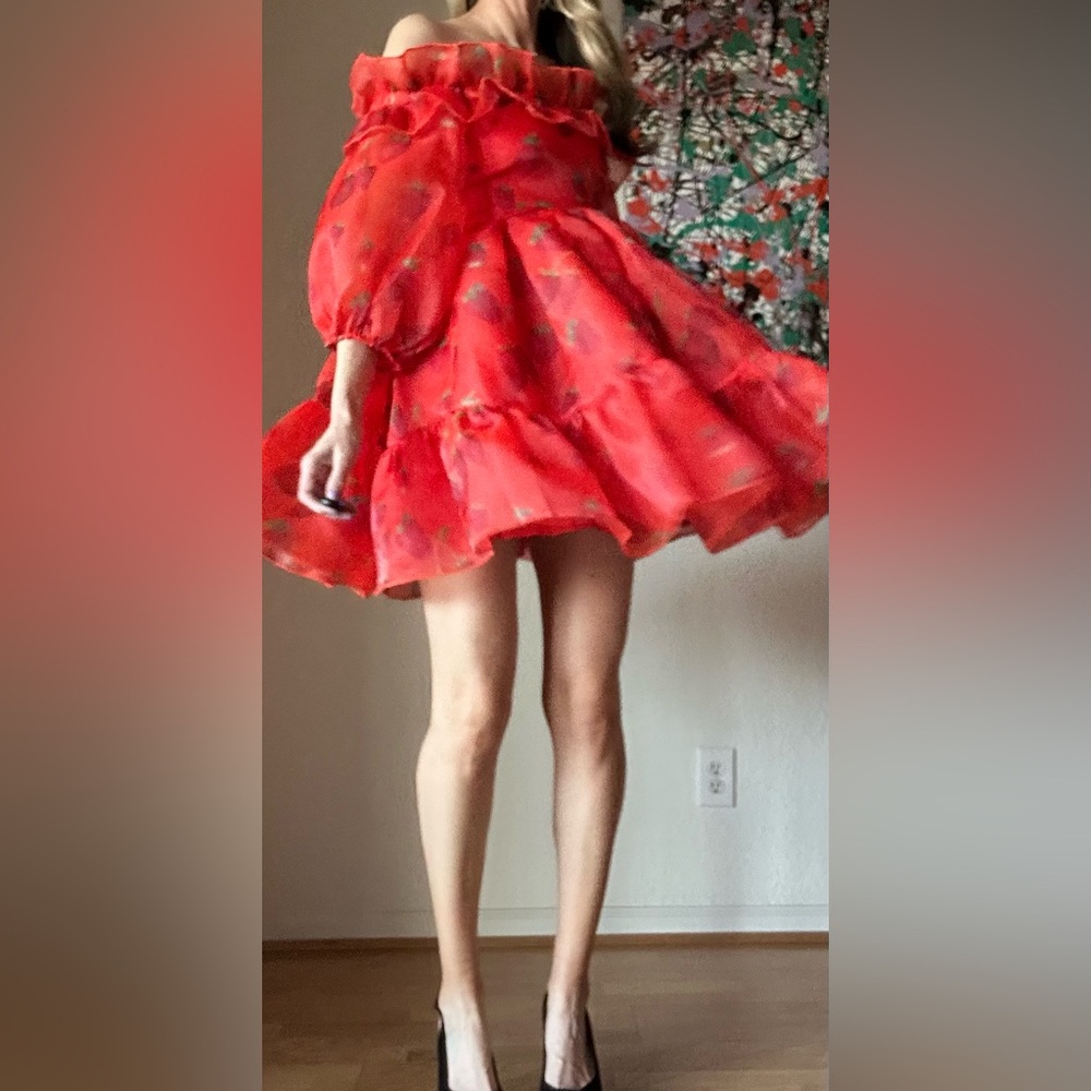 NWT Selkie Cherub Dress